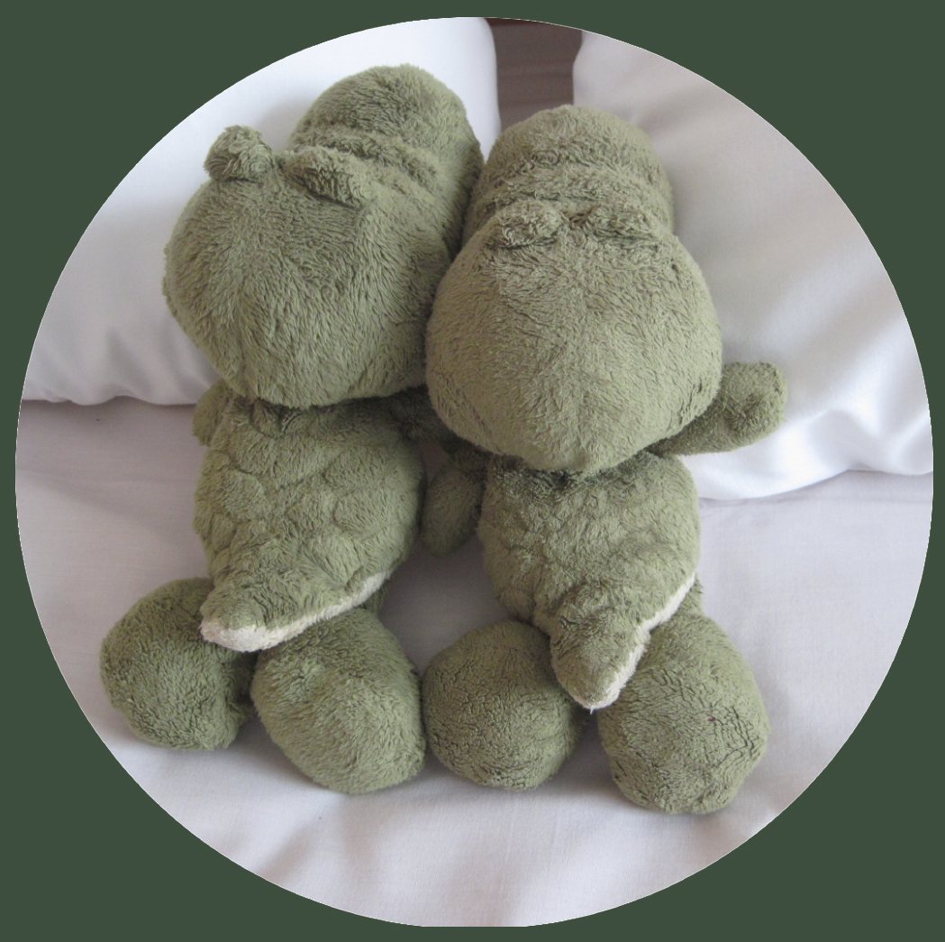Kroko-Maskottchen, eingereicht von Roland